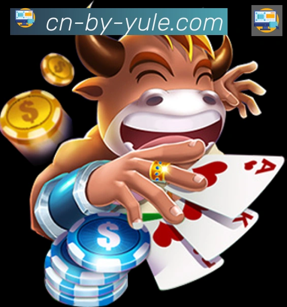 未来规划